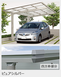 ���ե롼����EX �ԥ奢����С�