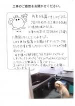 ���ɸ���뷴�ĸ���Į������