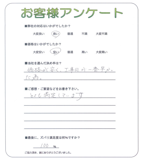 ���������ʿ��衡����