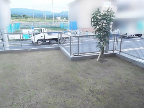  ����ܥ�ĥ꡼ ���� ���Х��ޥȥͥꥳ+����ĥ�� ɱ�����
