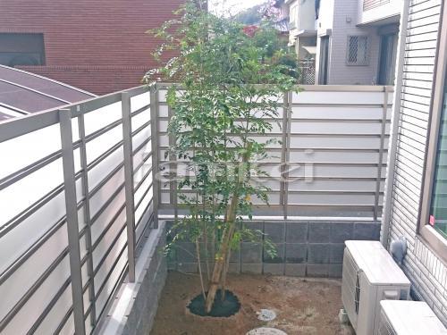 ����ܥ�ĥ꡼ ���ޥȥͥꥳ ���м� ����