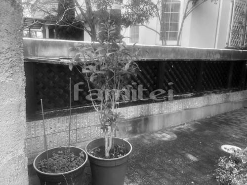�ܹ���