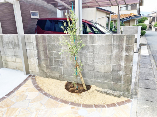 ����ܥ�ĥ꡼ ���꡼�� ���м� ����