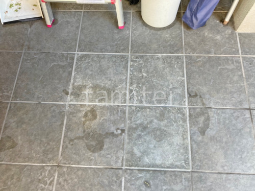 �ֻߤ�ű��