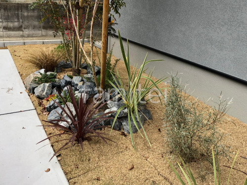 芝生張り 姫高麗芝 ゴロタ石 下草 植栽