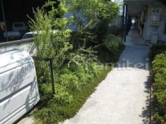 �մ���