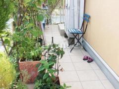 ������ǥå�