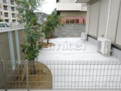 ���� �ڴ֥��󥯥꡼�� �ɥ�ե��������� ���� ����ܥ�ĥ꡼ ���ޥȥͥꥳ ���м� �����Υ� ���ռ� ����