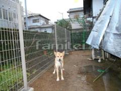 �����ե���ʽ LIXIL�ꥯ���� �ϥ�����åɥե���N8�� TOEX�ȥ��å���