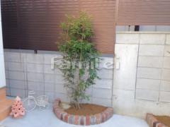 ����ܥ�ĥ꡼ ���ޥȥͥꥳ ���м� ����
