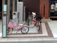 ���إ��ץ����� ��������Ž�� INAX���ʥå��� ���쥤������300�� LIXIL�ꥯ����