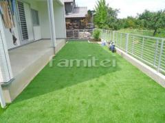 ��ʪ���ä���͹���