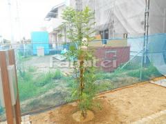 ����ܥ�ĥ꡼ ���ޥȥͥꥳ ���м� ����