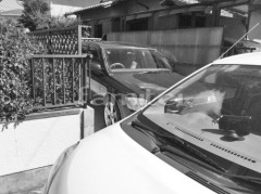 �ܹ���