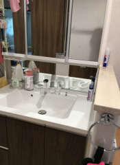 ���̲����� Panasonic�ѥʥ��˥å� C�饤�� D530