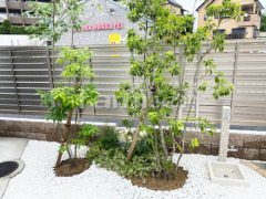 ����ܥ�ĥ꡼ ���饫�� ���м� ����