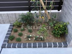 �ԥ󥳥��в��� �ϥĥ業������ �ե���ե��饪���쥢  �������ޥ꡼ ������ ���� ����