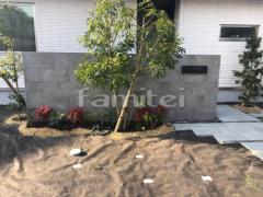 ����ܥ�ĥ꡼ ���ޥȥͥꥳ ���襴 ���꡼�� ���м� ����