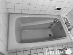 �Ἴ �ܹ���