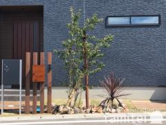 シンボルツリー ソヨゴ