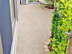 �������Ф��ž夲 �����