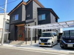 ��־쥬�졼���� �ڴ֥��󥯥꡼��