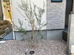 ����ܥ�ĥ꡼ ���꡼�� ���м� ���� ���ݥåȥ饤�Ⱦ��� Panasonic LED���ݥåȥ饤�� ���ѥ����� LGW40081LE1 ���Ѻ���