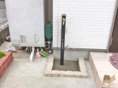 Ω���� ��˥��� ���ץ쥹�����60 �ظ�2���դ�