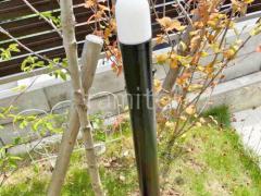 ���� Panasonic LED�ݡ���饤�� XLGEJ551HZ