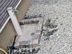 �ԥ󥳥��Ϥ������(�ѥ�) �ڴ֥�륿��ž夲 ������