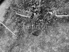 �ܹ���