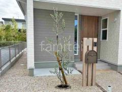 ����ܥ�ĥ꡼ ���꡼�� ���м� ����