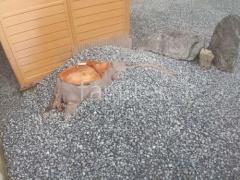 ���Ⱥ����ߤ� �Х饹���� ���𥷡��Ȳù�