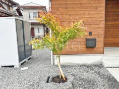 ����ܥ�ĥ꡼ �����ϥ�ߥ� ���ռ� ����