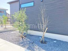 ����ܥ�ĥ꡼ ���꡼�� ��������