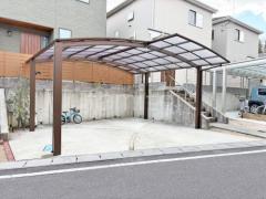 本体色 ブラウン